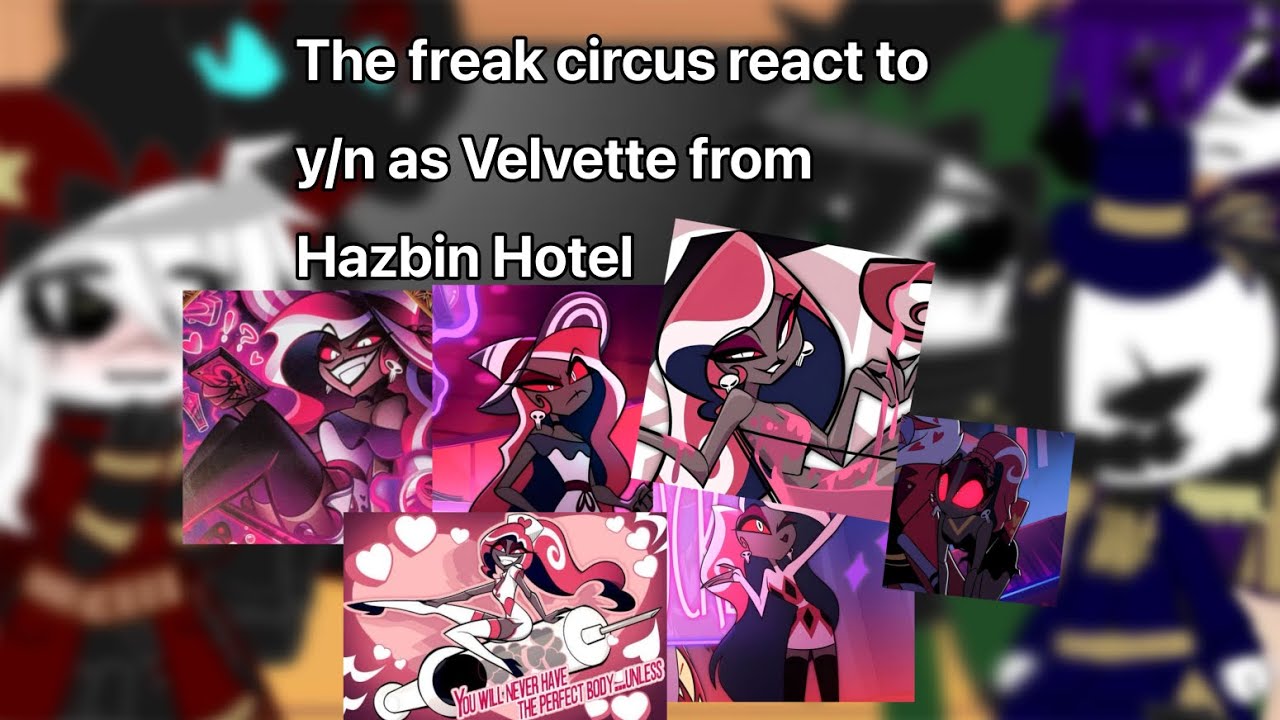 The freak circus react to y/n as Velvette from Hazbin Hotel | Gacha club | ‼️PUT IN 2X SPEED‼️