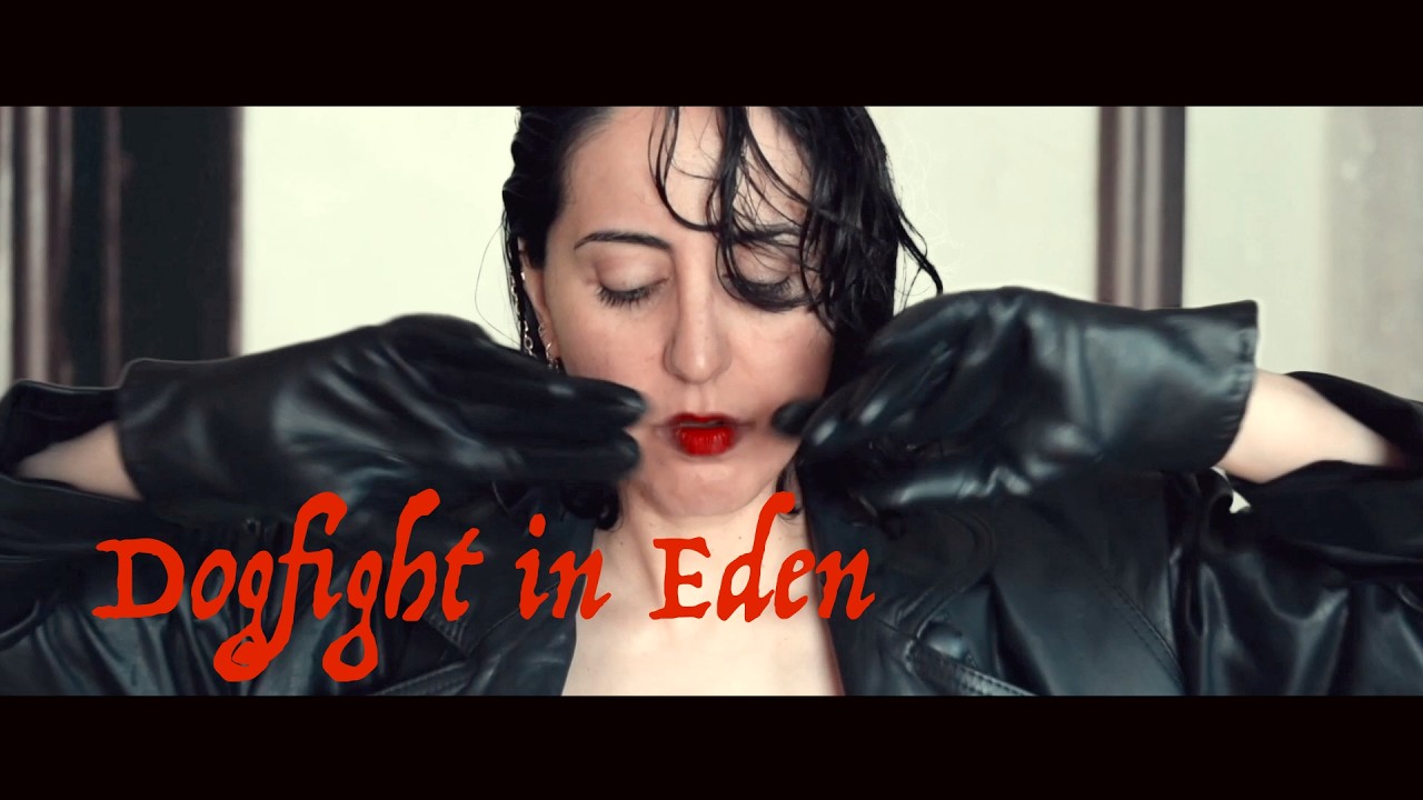 Mortimer Nyx - Dogfight in Eden (Official Music Video) | Indie/alternative/psychedelic rock