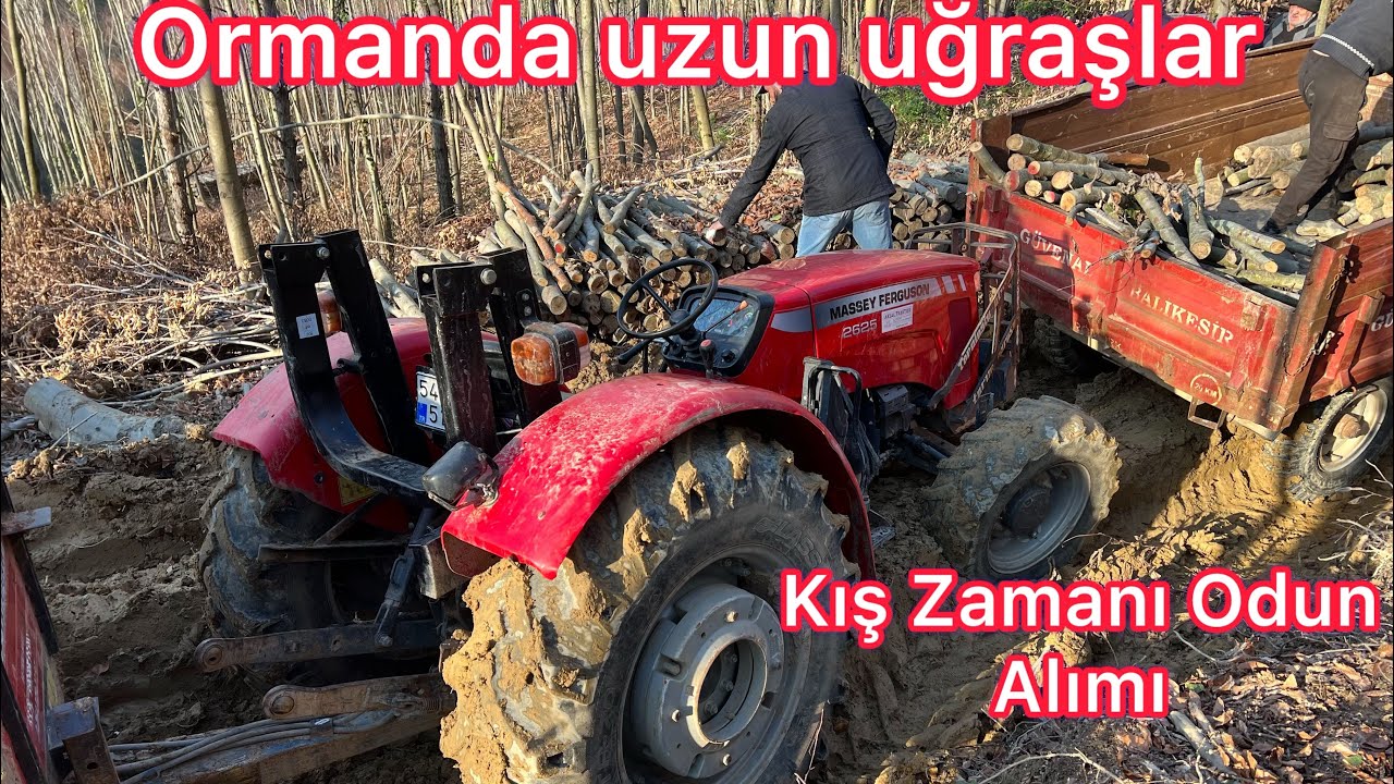 Ormanda Odun Alımı Offroad Drift Çamur Ne Ararsan Burda! Traktörler Teker Boyu Batıyor