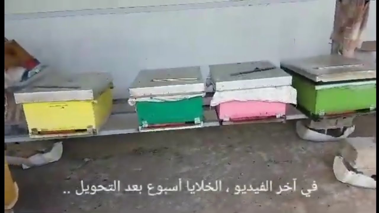 تحويل خلايا تسع إطارات نحل، من لانكستروت إلى نظام أبو سلمان .