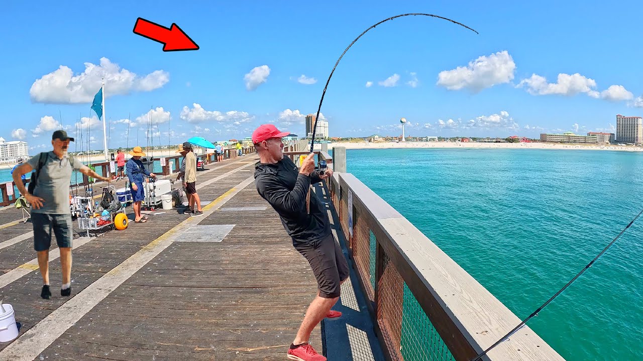 Walked to the End of the Gulf Pier and Caught This! *GIANTS*