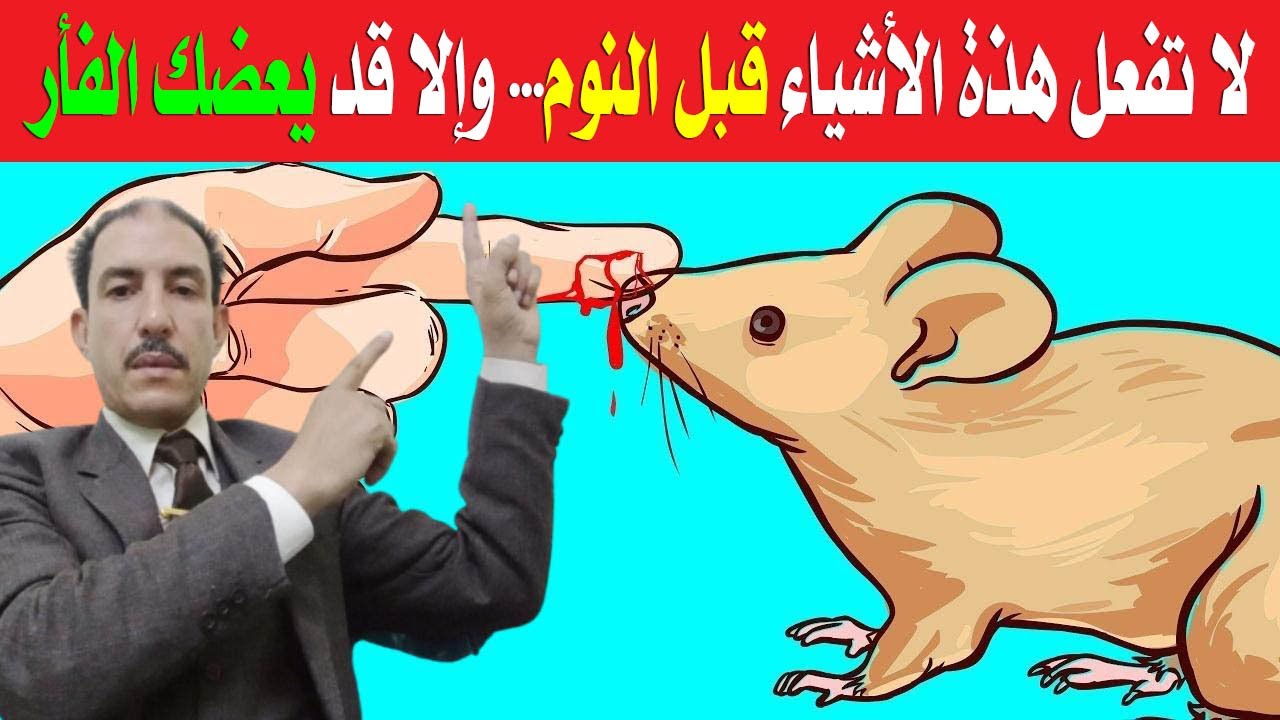 هل يقترب الفأر من الإنسان النائم؟ | اكتشف الحقيقة المدهشة!