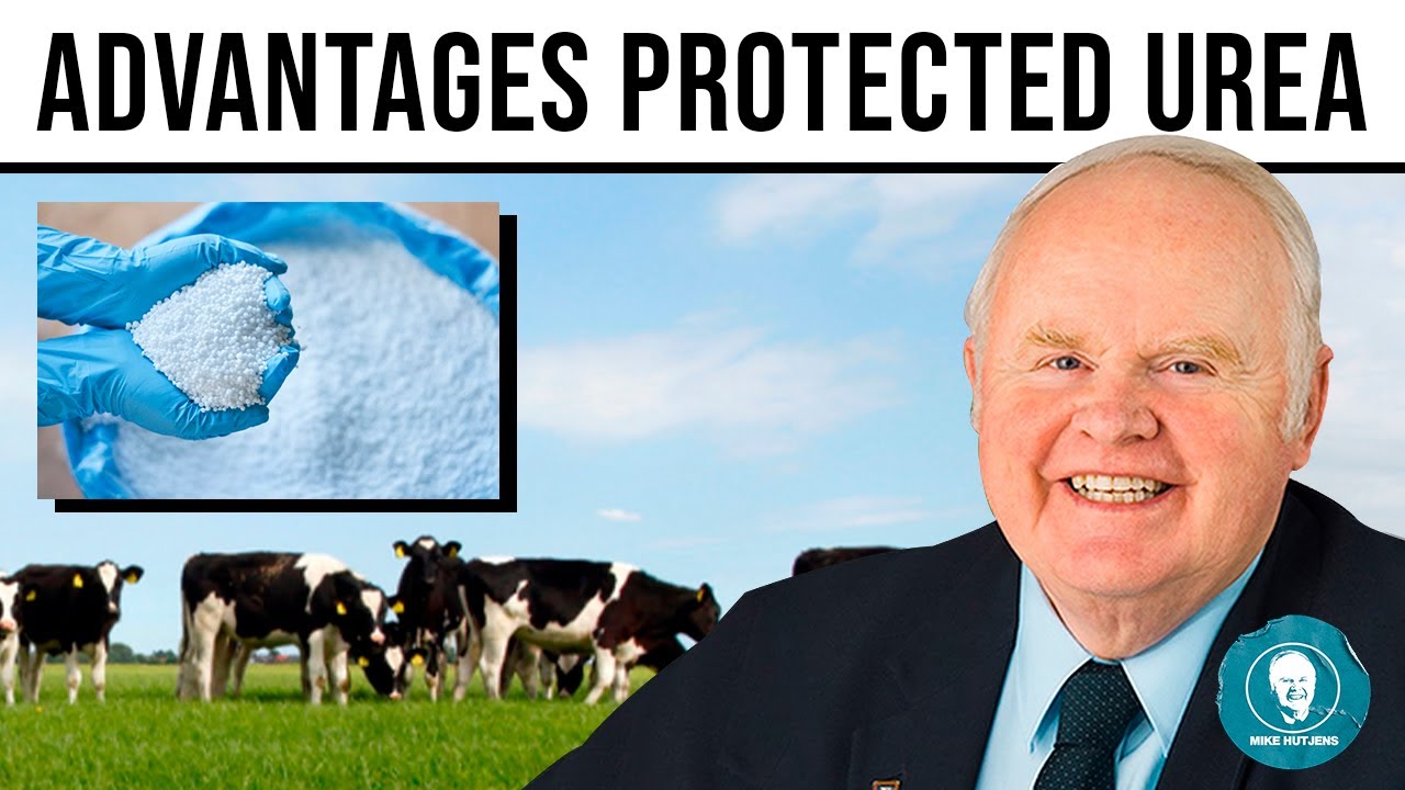 Reduce soybean and canola extract