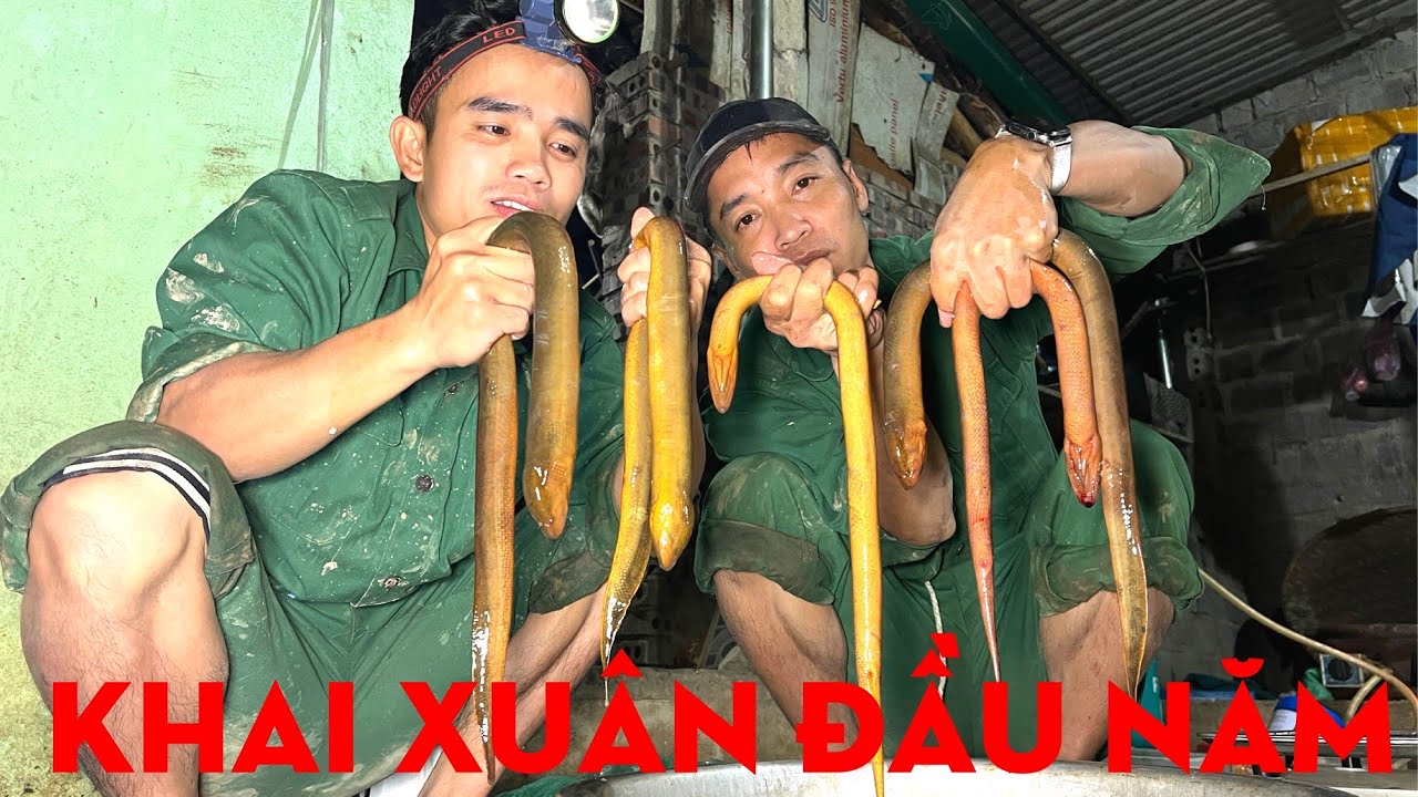 KHAI XUÂN ĐẦU NĂM 2024-TỰ THỢ RỪNG