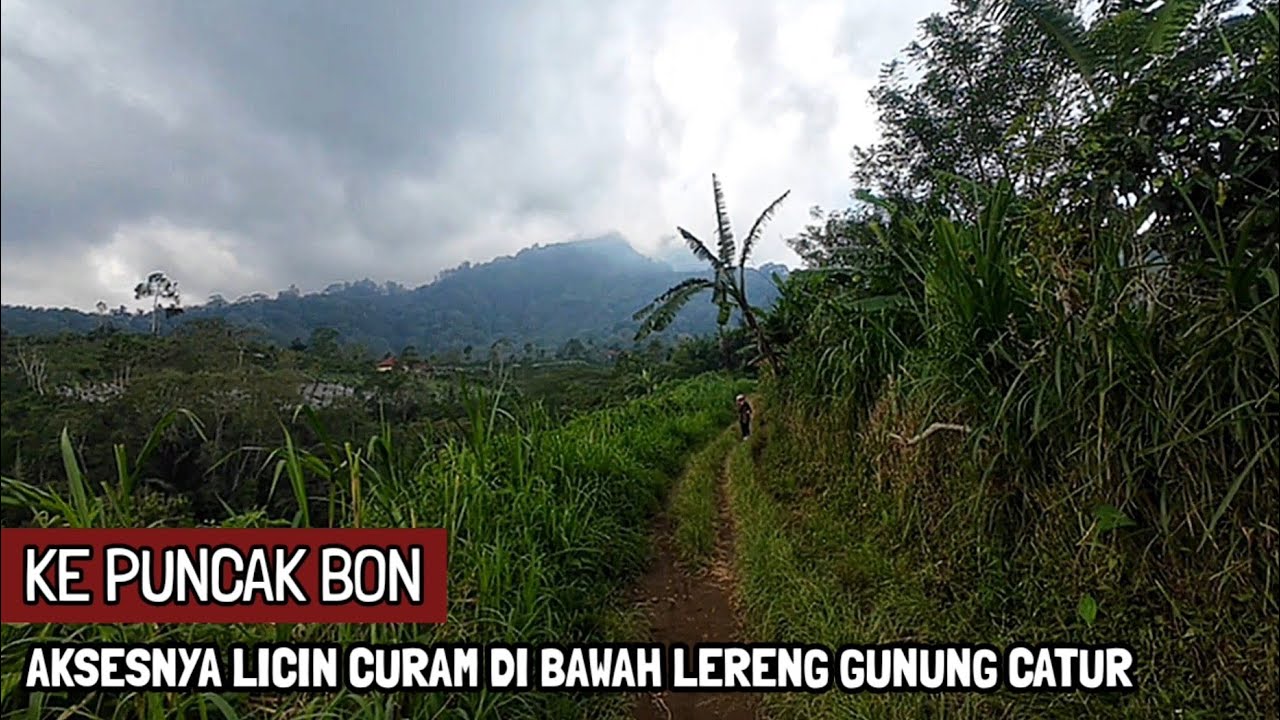 PUNCAK BON DI LERENG GUNUNG CATUR BALI (20/2/2026)