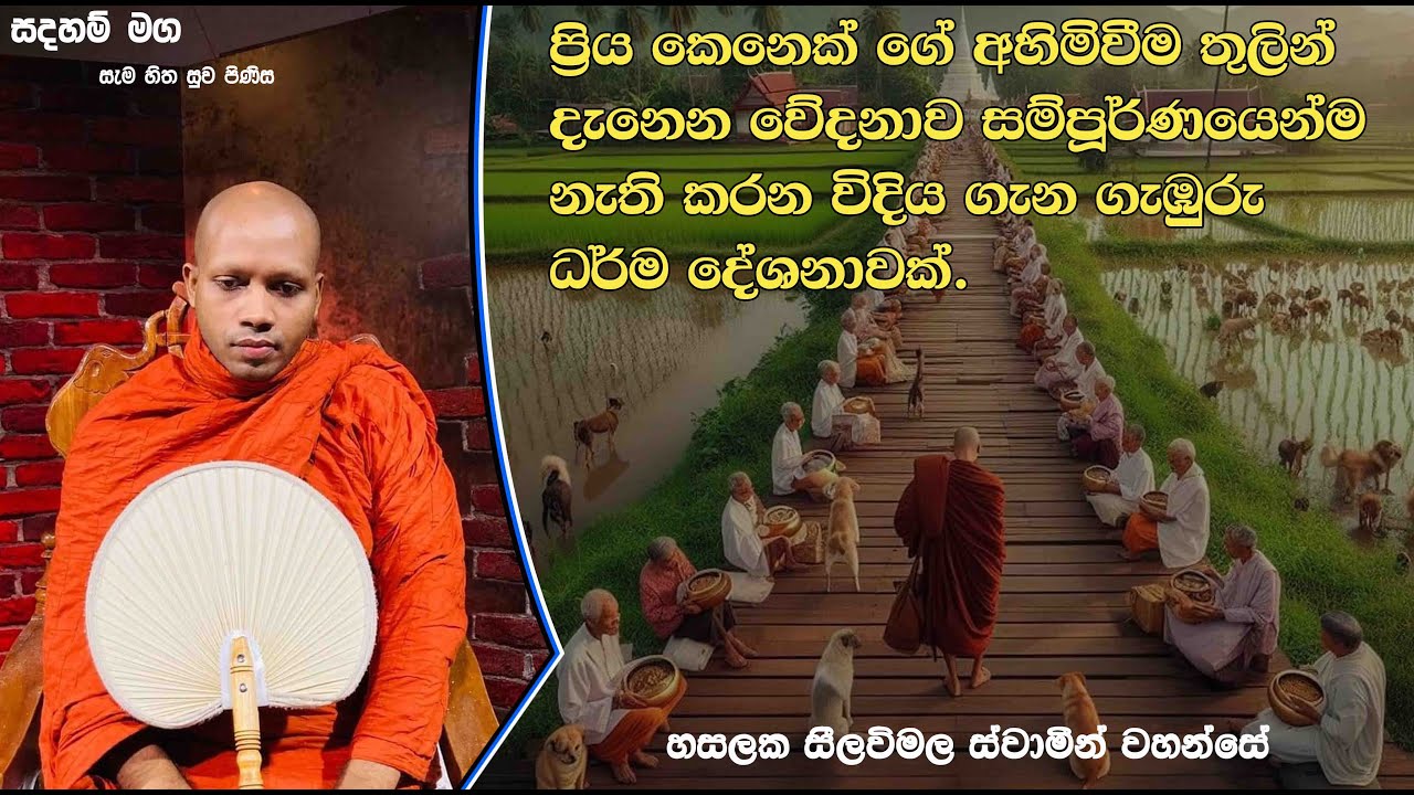 අහිමිවීම තුලින් දැනෙන වේදනාව සම්පූර්ණයෙන්ම නැති කරන විදිය.1642Ven Hasalaka Seelawimala Thero