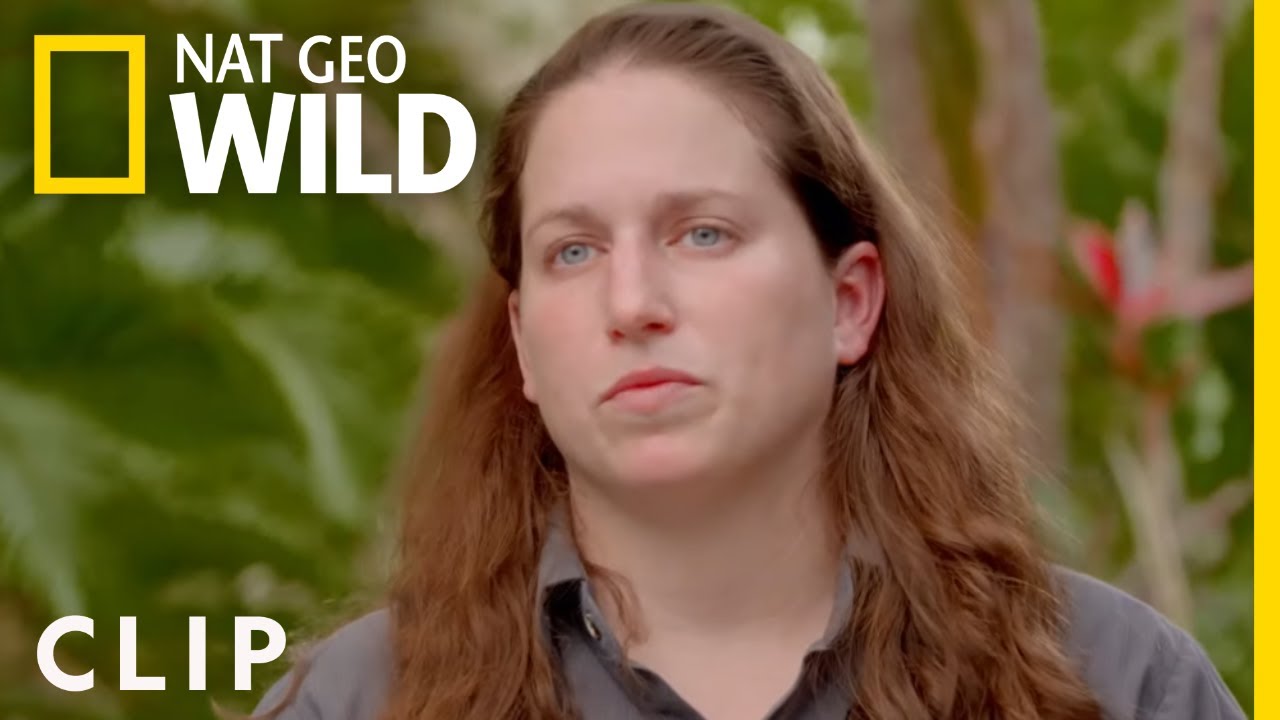 A Sun Bear's Tricky Tooth Removal (Clip) | Secrets of the Zoo
