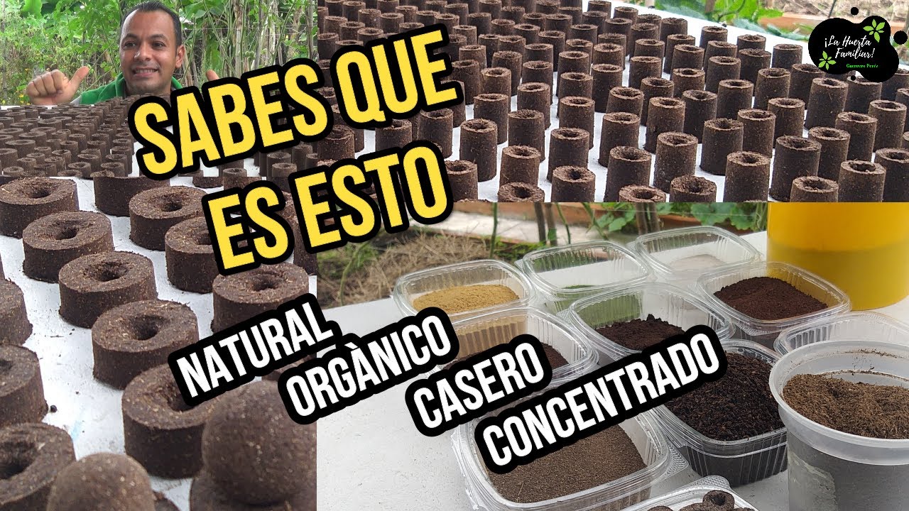 ABONO, FERTLILIZANTE CONCENTRADO, NATURAL ORGANICO CASERO MAS EFICIENTE // PREPARACION PASO APASO.