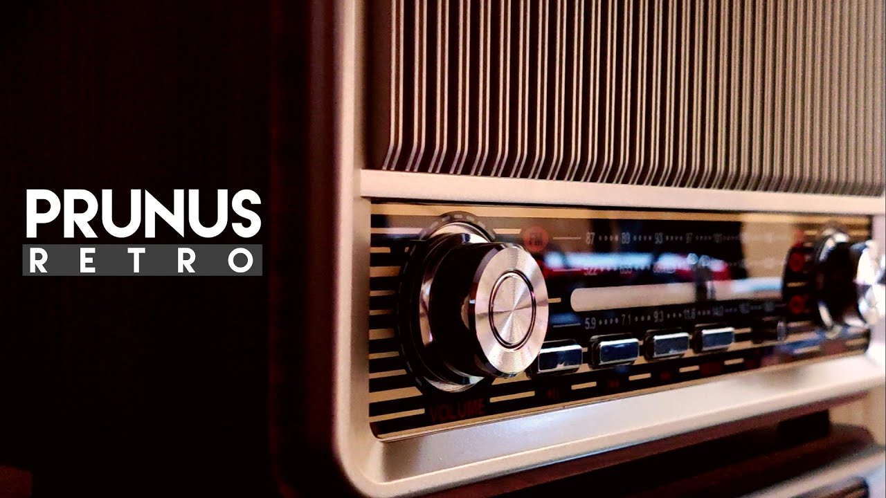 Prunus J-120 FM / AM / SW Radio