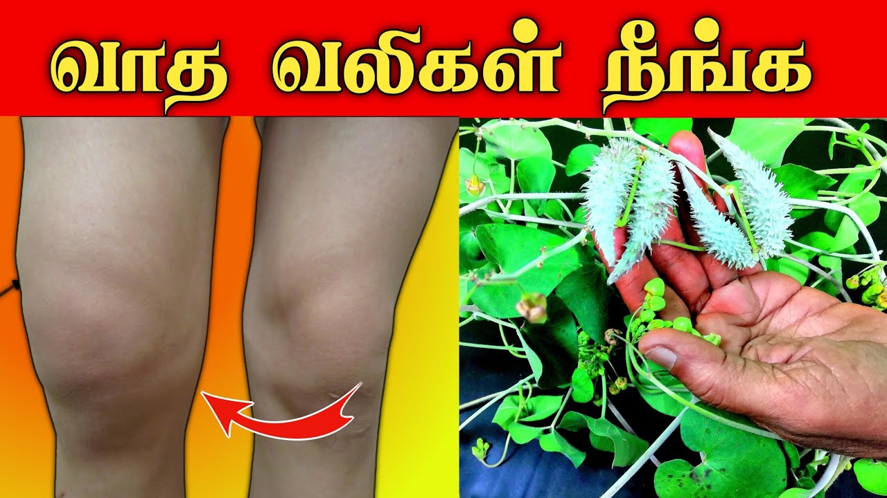 வாத வலி நீங்க | Vatham treatment tamil | Tamil | Thanithuvamm