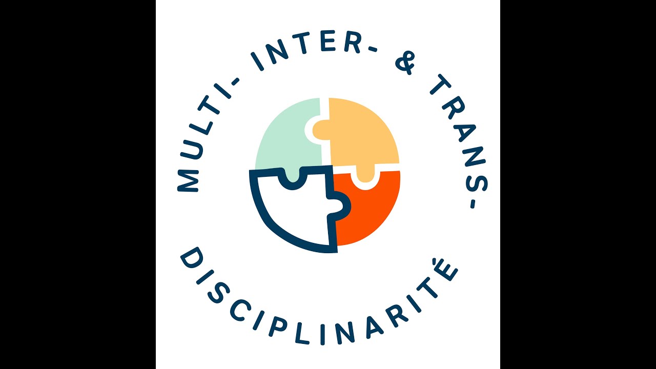 1. Interdisciplinarité : De quoi parle-t-on ?