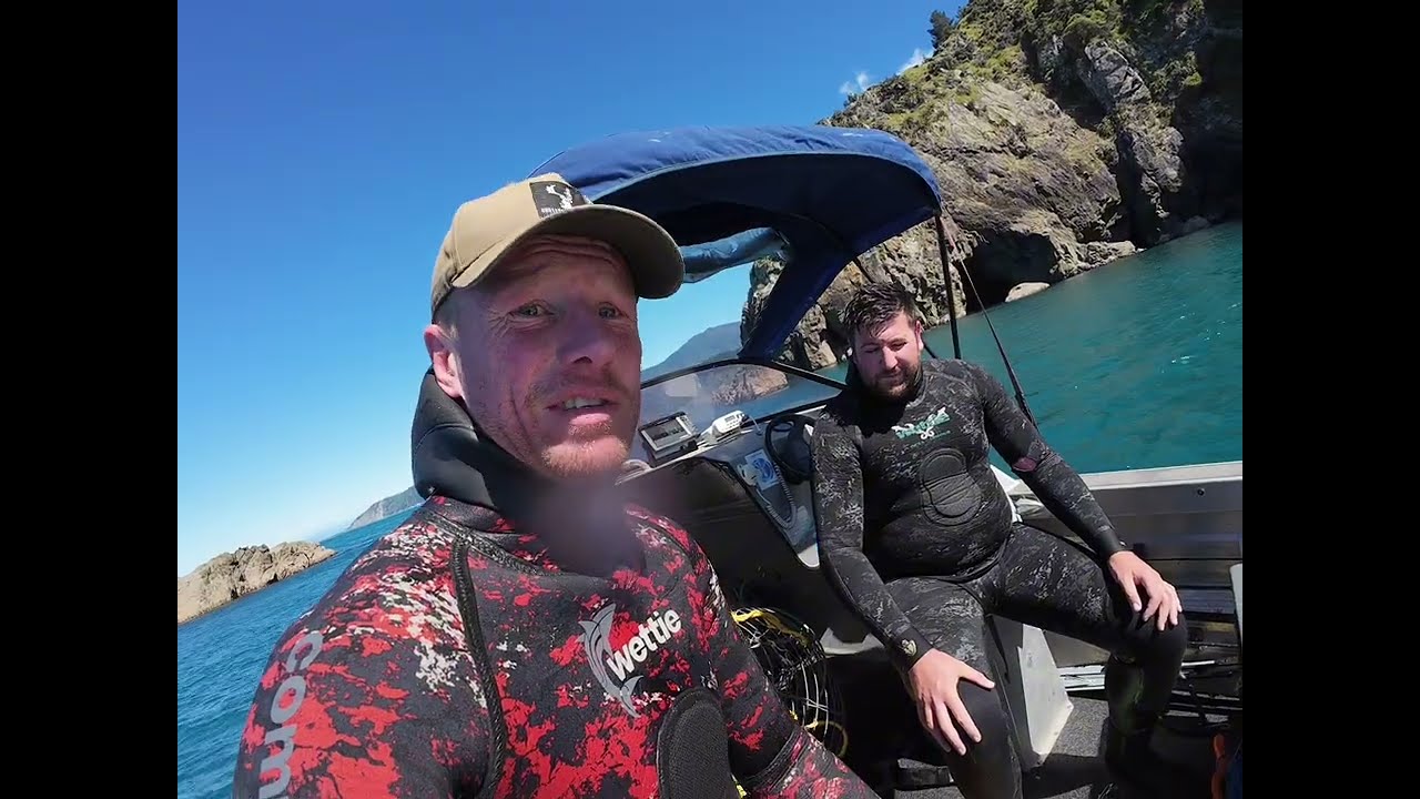 Rough heads and dusty vis, Marlborough Sounds diving. 