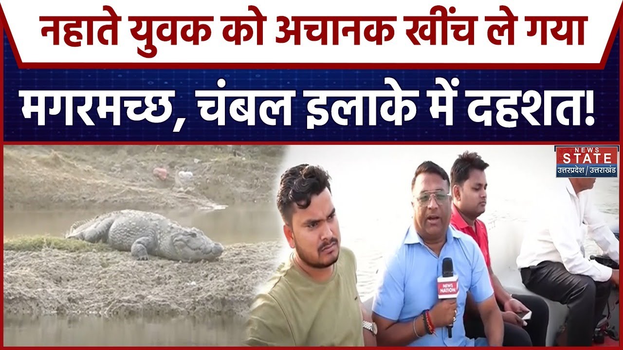 UP News: नहाते युवक को अचानक खींच ले गया मगरमच्छ, चंबल इलाके में दहशत! | Crocodile Attack