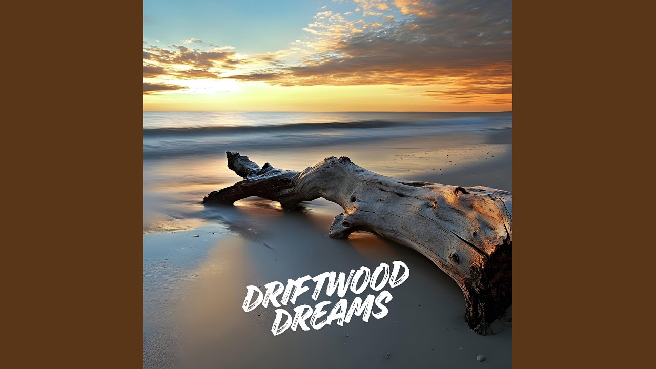 Driftwood Dreams
