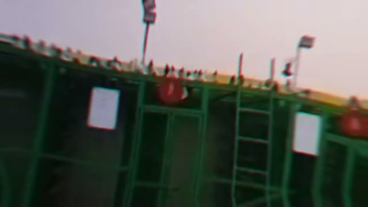 chaman bidi valo ki vaha ki jhandi 401kabutro ki...😱