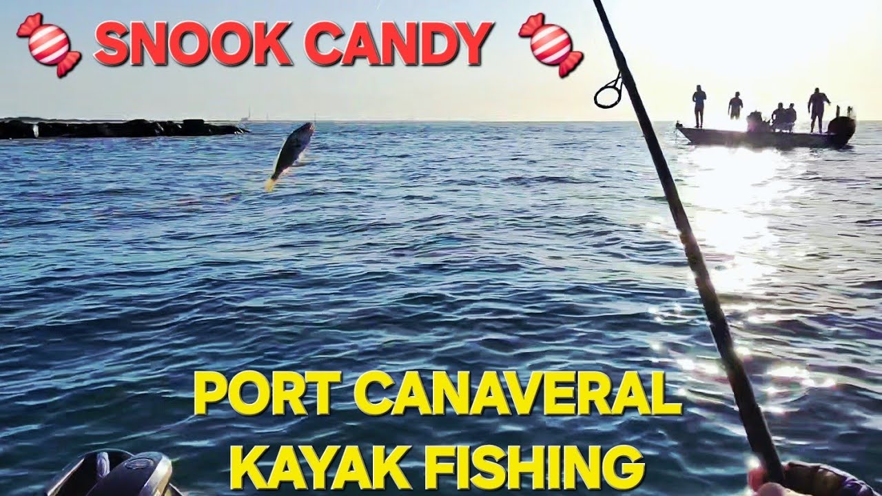Some HUGE Overslot Snook Caught At Port Canaveral Jetty Today! Fishing Report!