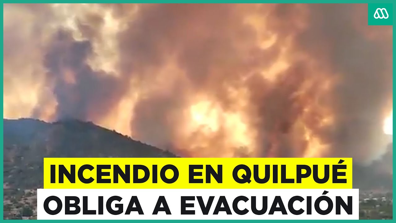 Incendio forestal afecta a Quilpué: Solicitan evacuar por avance de fuego