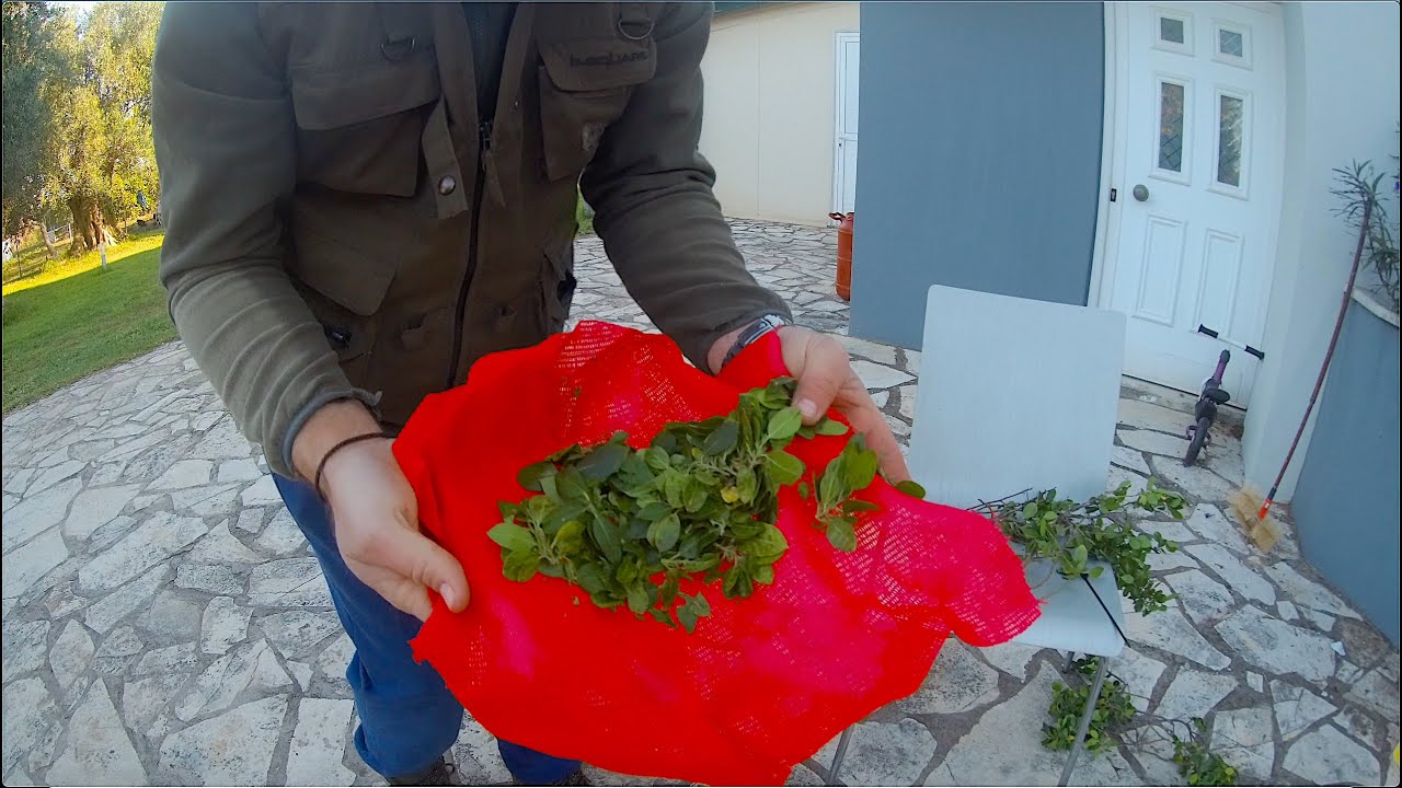 Натуральный антибиотик для кур и кормушка для птиц своими руками