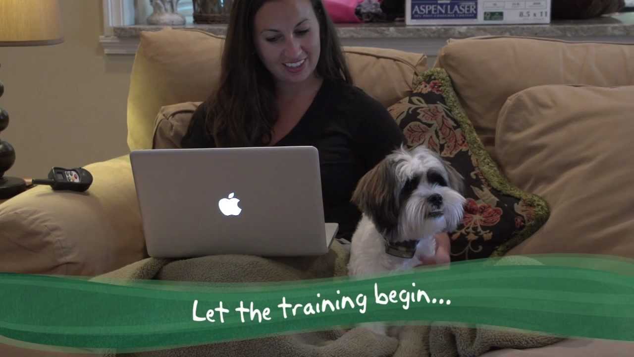 PetSafe Elite Little Dog Remote Trainer