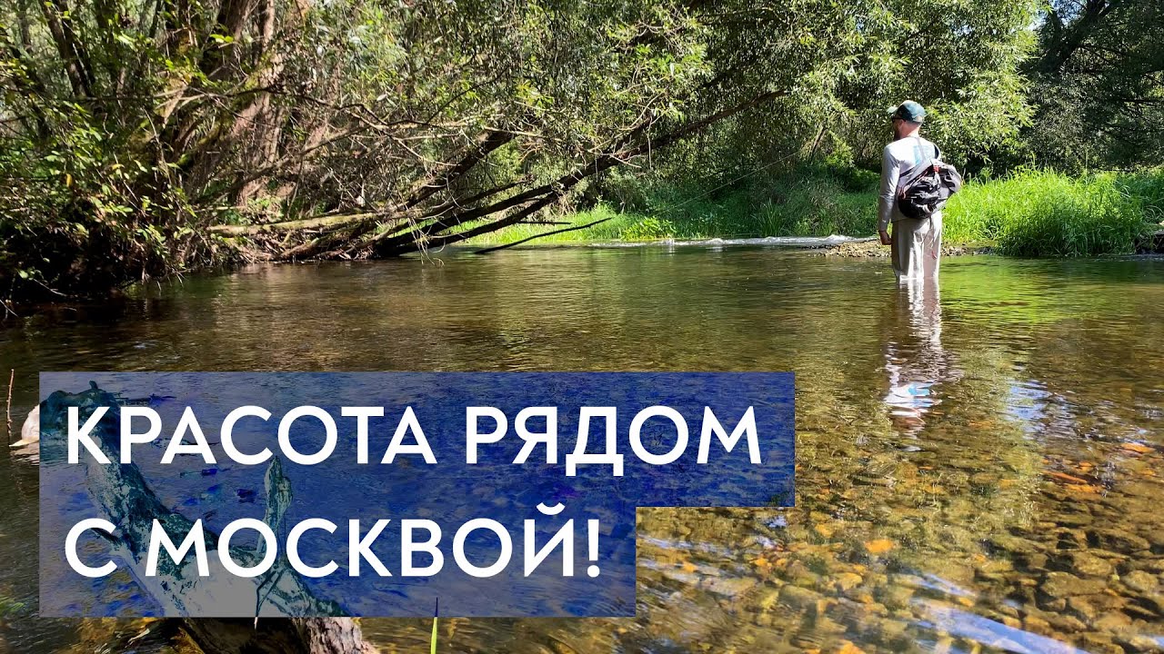 Изучаю нахлыстовые реки в районе Подольска (Пахра, Десна и Моча)
