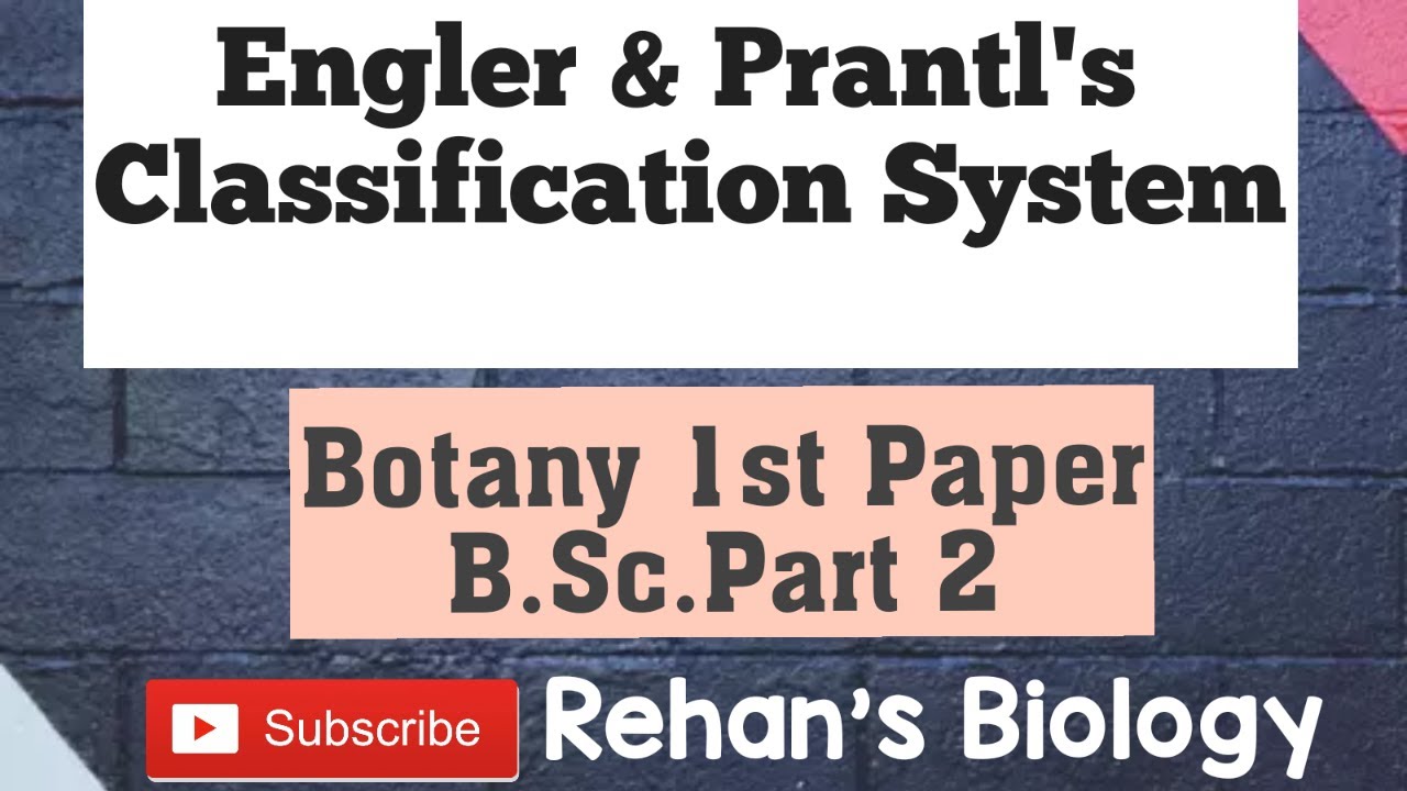 #Engler & Prantl's Classification System #Rehan' Biology #Botany1 B.Sc.Part 2 #Phyllogenetic system