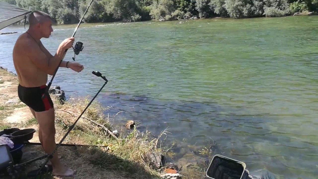 River Una- Barbus Barbus- Feeder fishing
