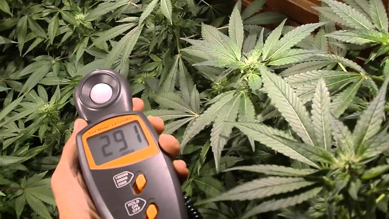 Todogrowled nuevas l&aacute;mparas led cultivo