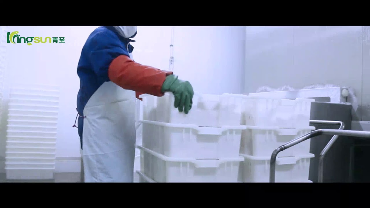 Alaska Pollock Fillet process