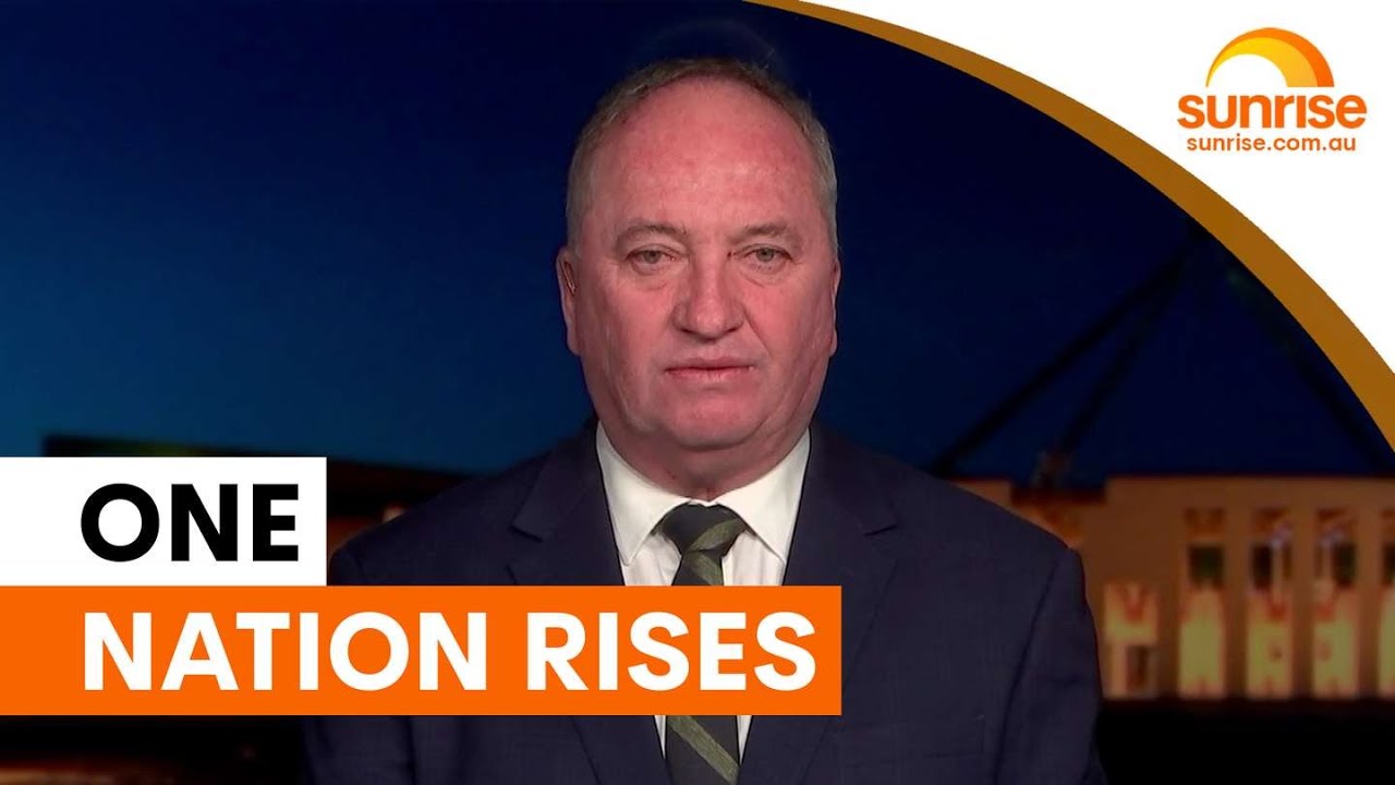 Labor Premier warns of One Nation surge | Sunrise
