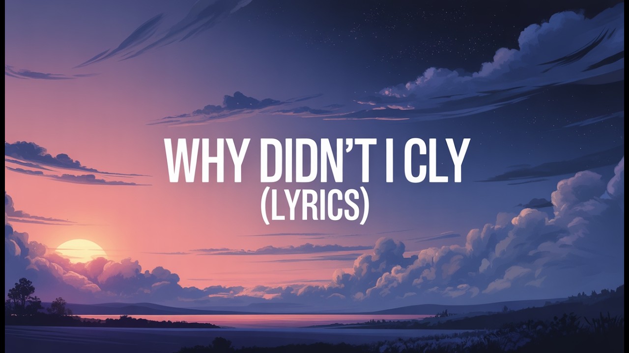 Why Didn’t I Cry When You Left ( Lyrics )