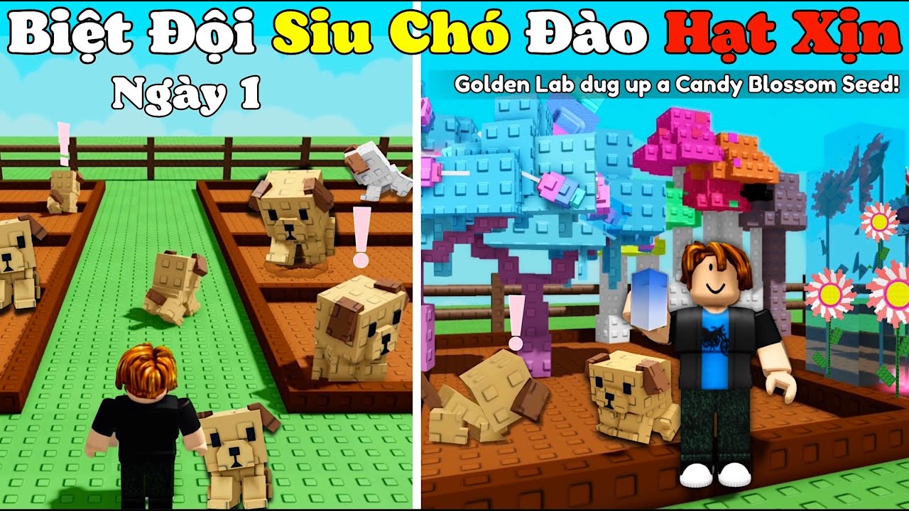 [Grown a Garden]100H Đào Candy Blossom Với Biệt Đội Cún Truy Tìm Hạt Siu Đỉnh Xây Vườn Từ Con Số 0