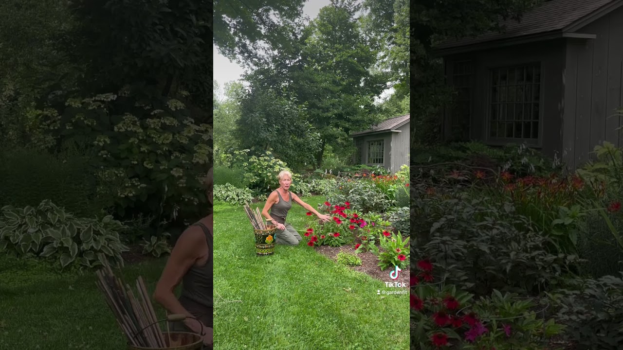 Just as you need good posture to keep your body strong, your plants need good posture too!
