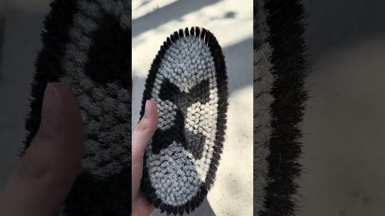 #HorseGlam