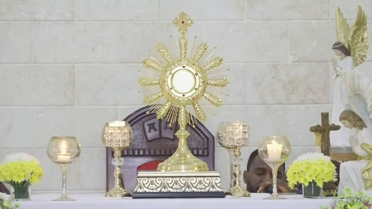 Santa Misa y Adoración a Jesús Sacramentado 20/06/2024.