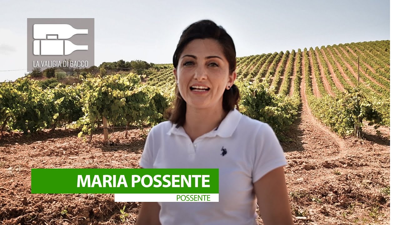 Possente - La valigia di Bacco