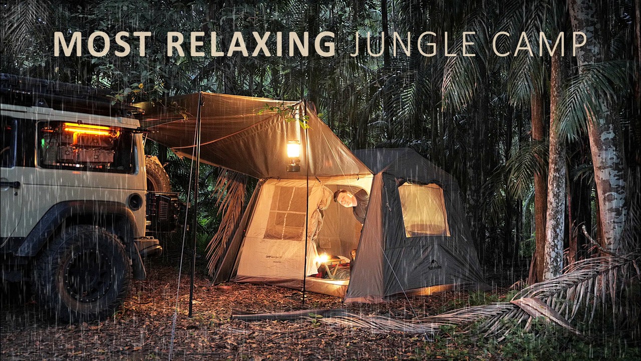 Relaxing SOLO CAMP in the RAINY JUNGLE [ Australian Rain Forest cosy vibes, new tent, ASMR ]