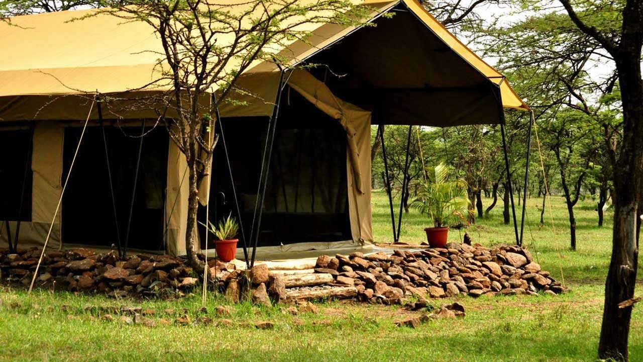 Safari to Naboisho Camp in Naboisho Conservancy, Masai Mara.