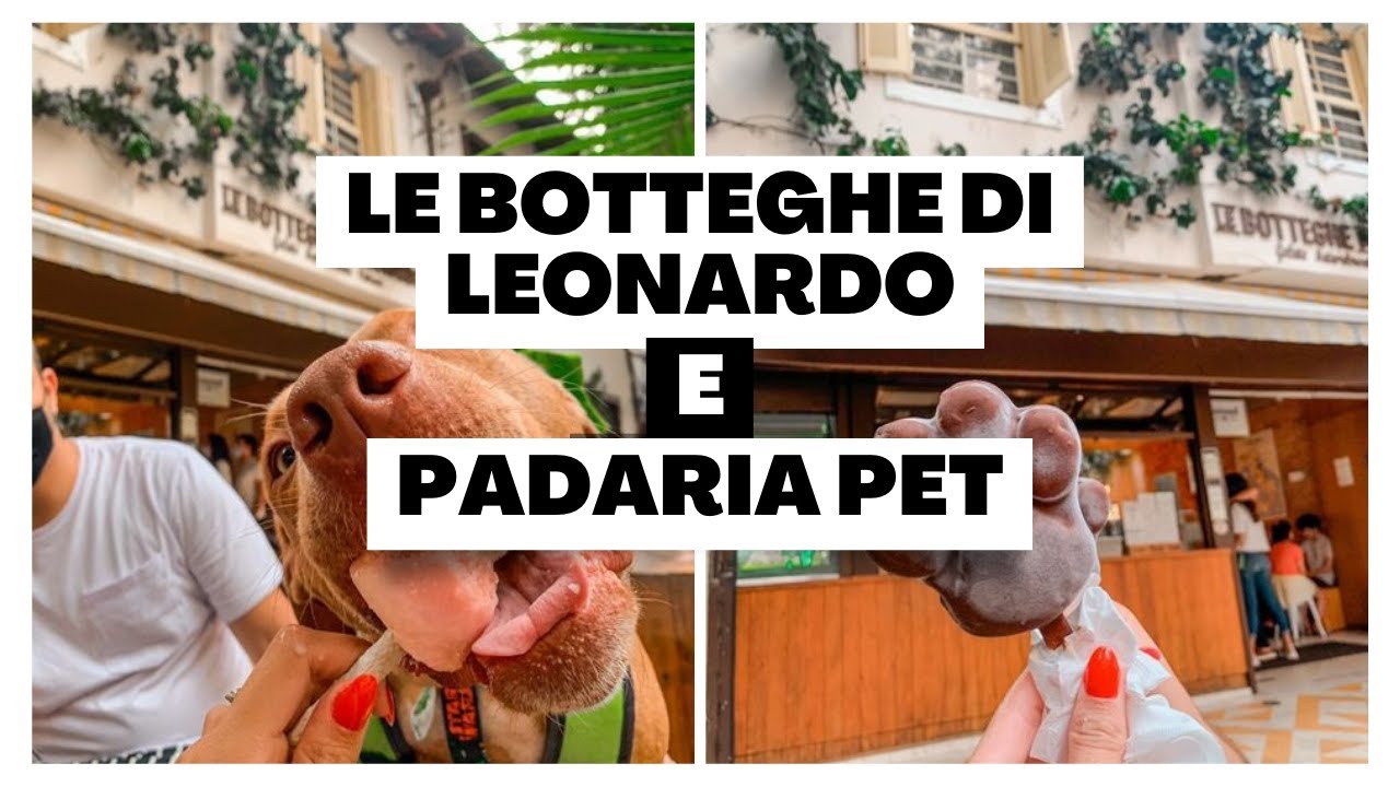 VLOG : PET FRIENDLY #1 - Oscar Freire | Le Botteghe Di Leonardo | Padaria Pet