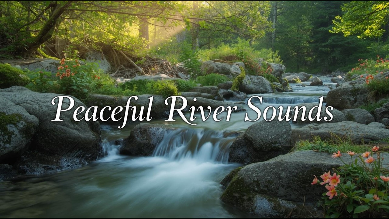3 Hours of Calming and Peaceful Music for Stress Relief, Anxiety & Morning Rituals