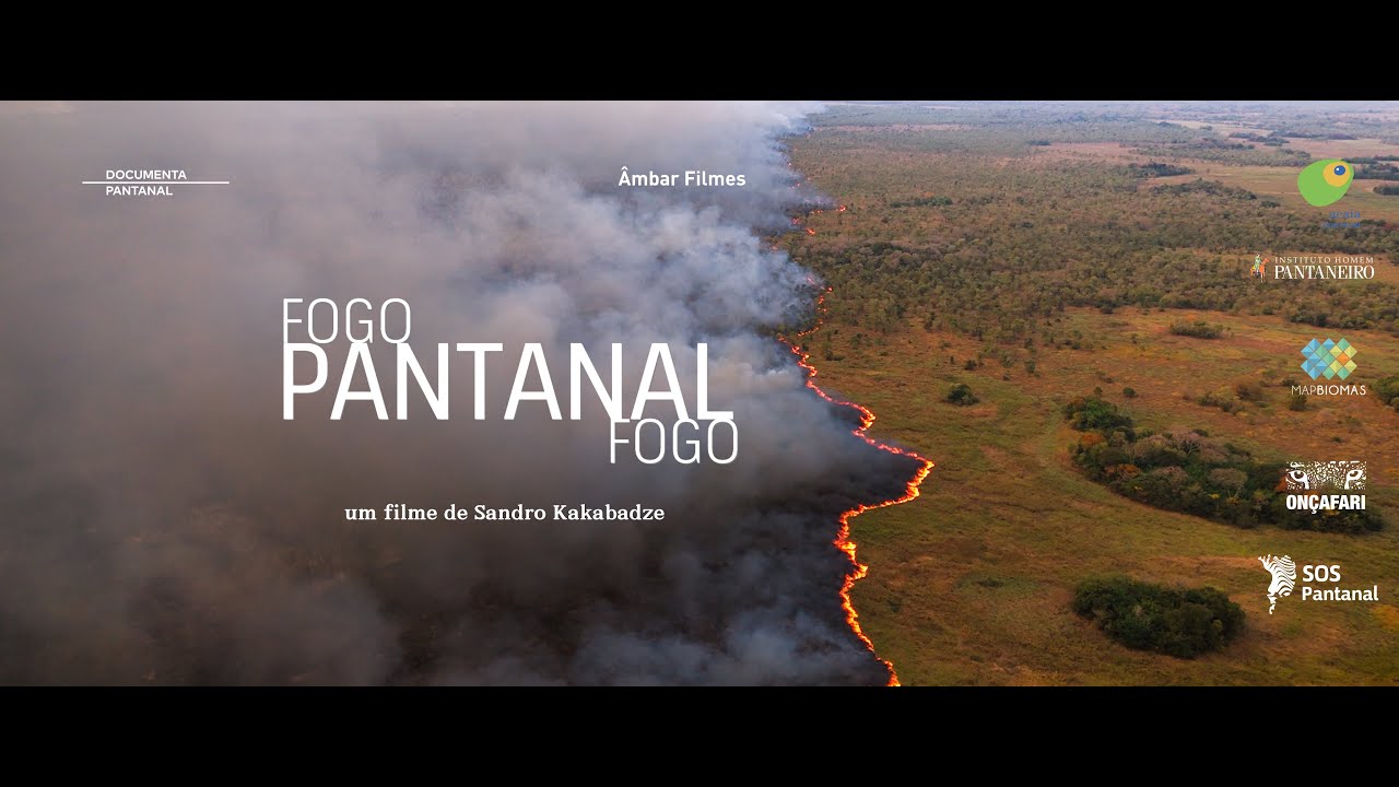 FOGO PANTANAL FOGO