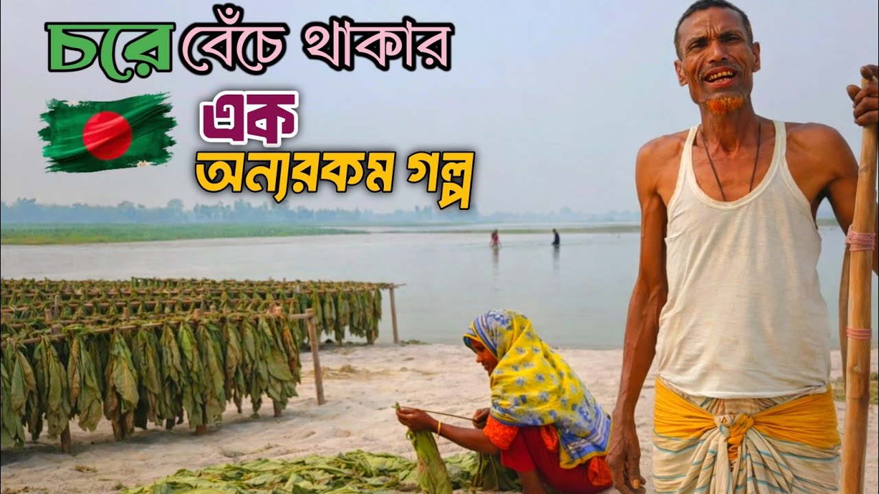 তিস্তা চরের মোটা ভাত শিম আলু ভাজি |সংগ্রামের মাঝে বেঁচে থাকা মানুষের গল্প|Teesta Char Life 