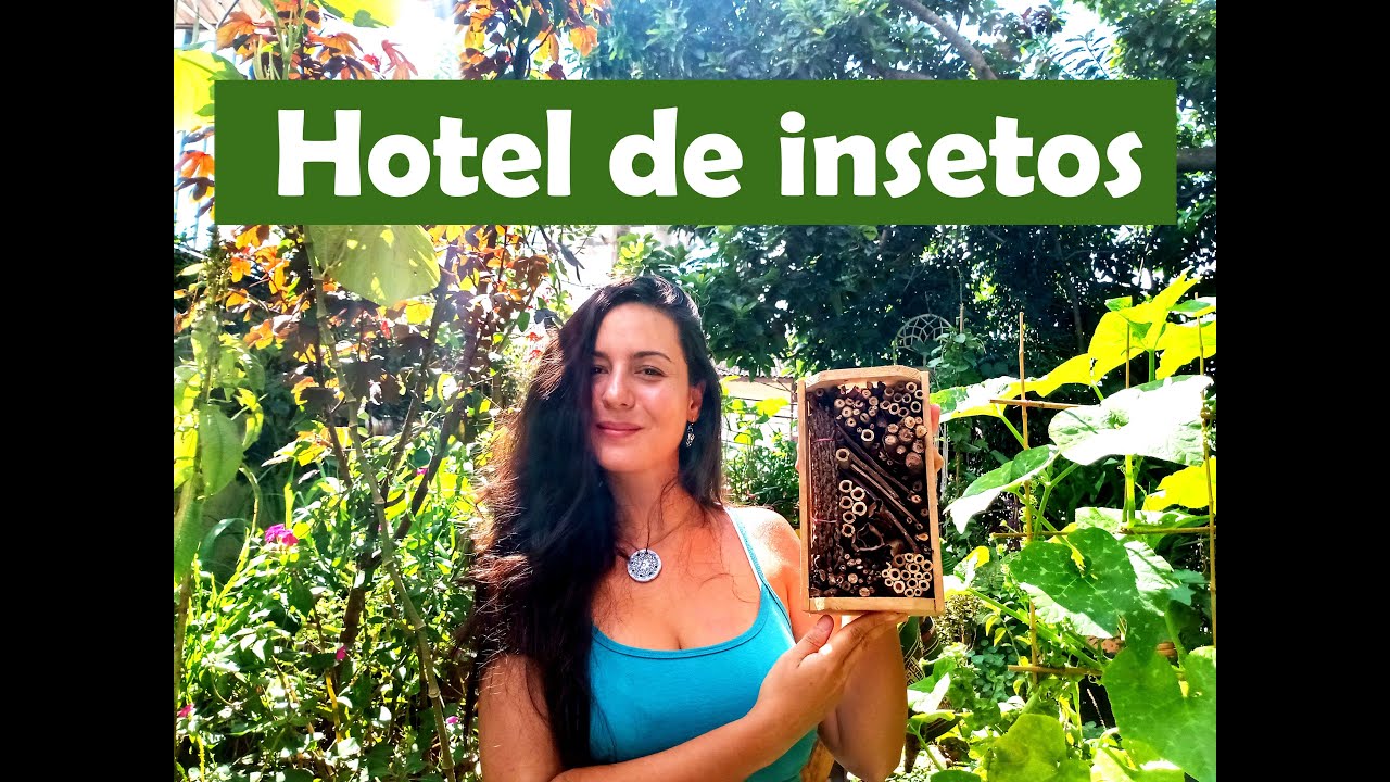Hotel Dos Insetos