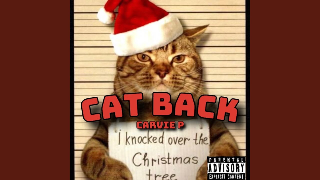 Cat Back