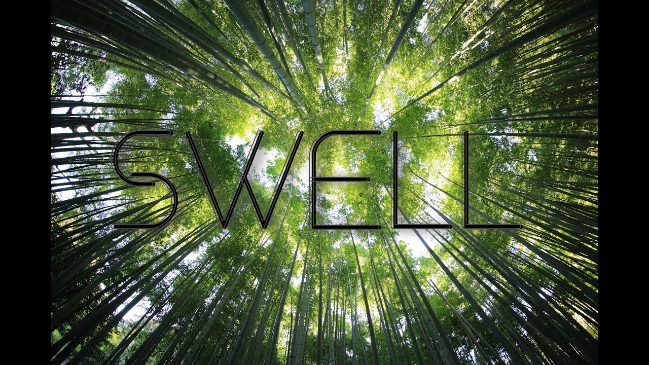 Matej - Swell