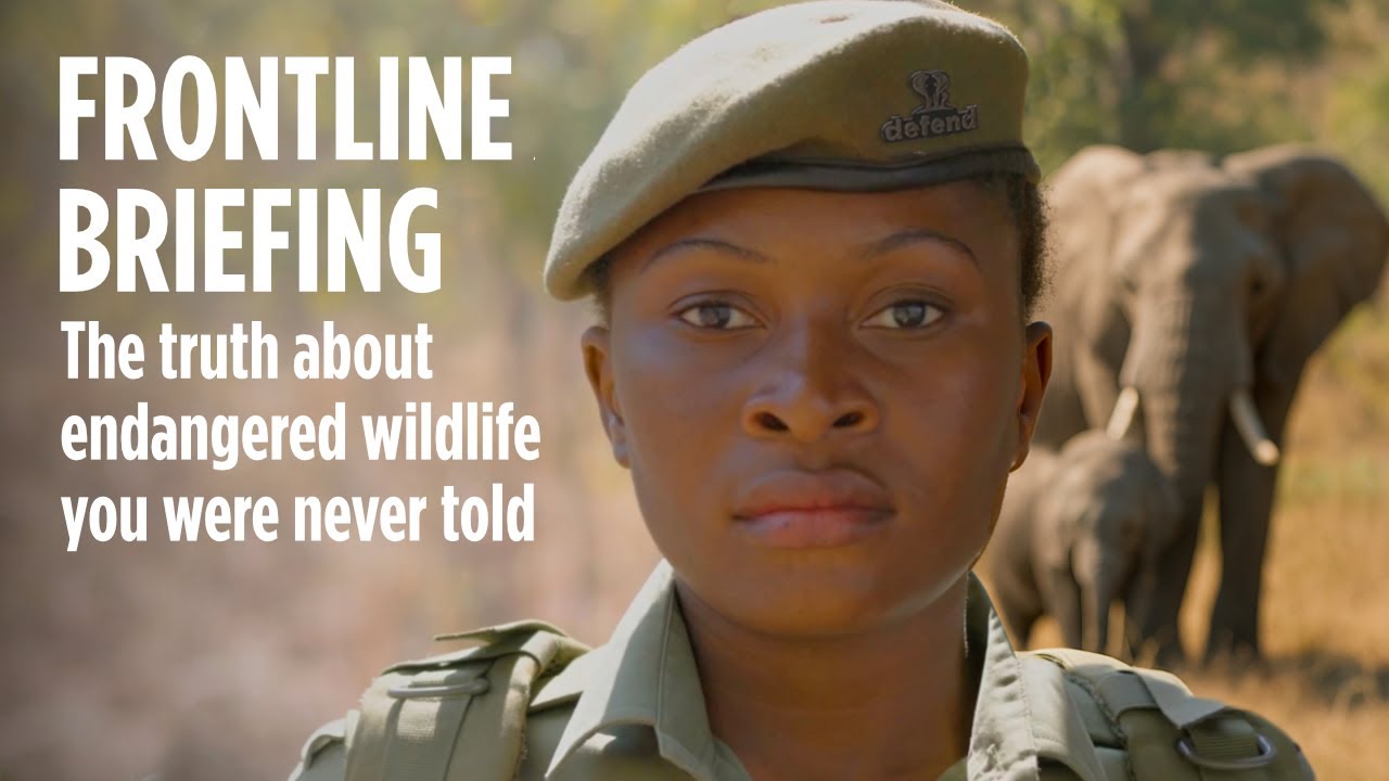 Frontline Briefing