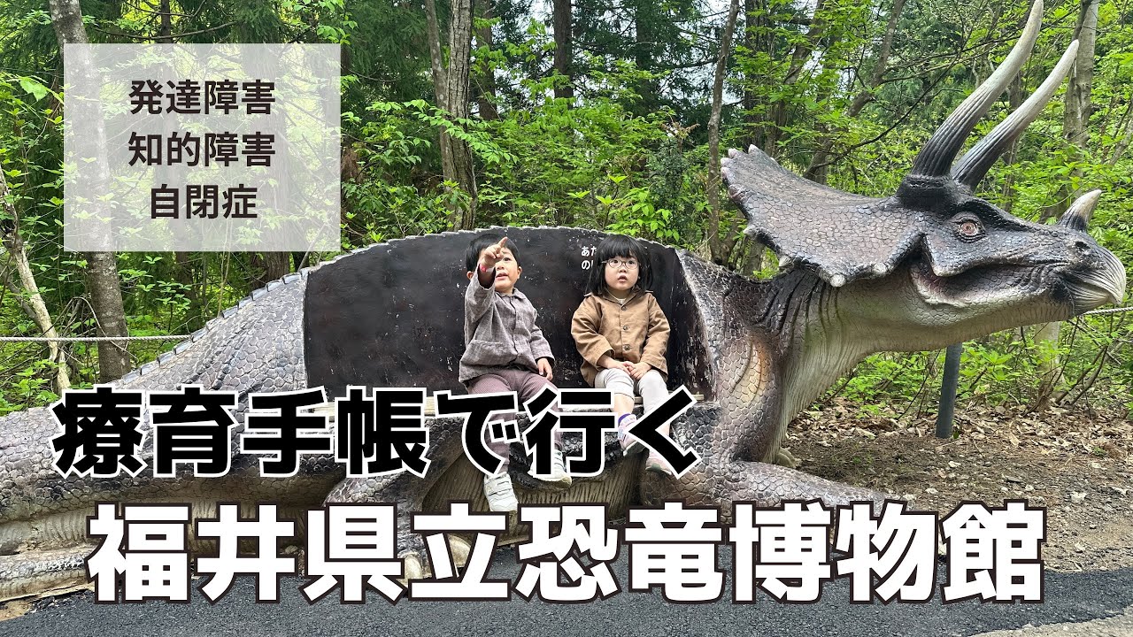 【4歳自閉症VLOG】療育手帳使って日帰り旅行してきた【北陸復興】