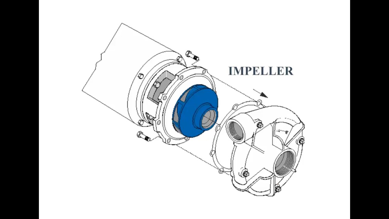 Pentair Tech Tips: The Impeller