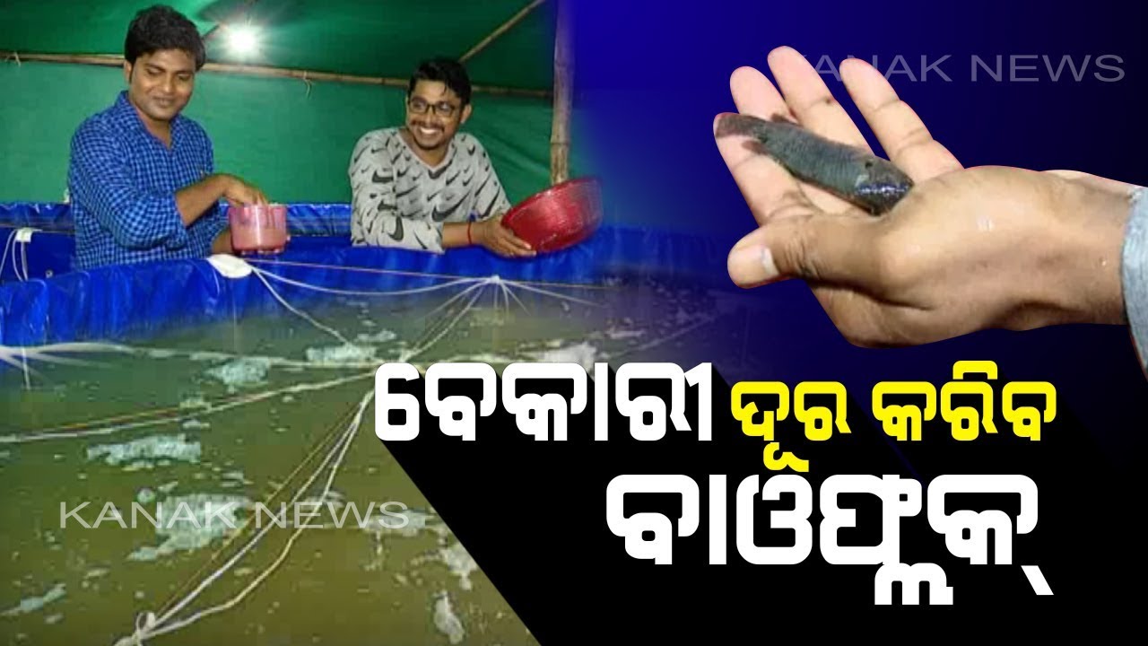 Watch: Biofloc Fish Farming By Two Youths In Balasore