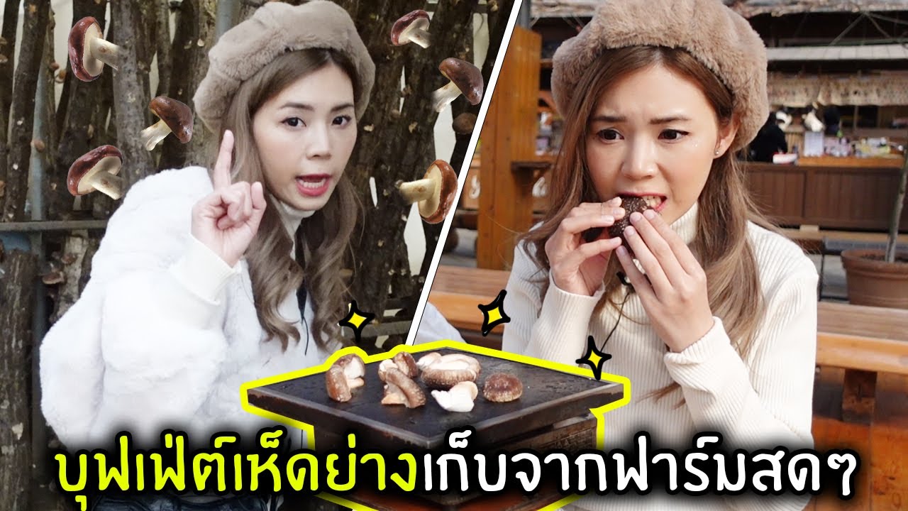 บุฟเฟ่ต์เห็ดย่างเก็บจากฟาร์มสดๆที่ญี่ปุ่น