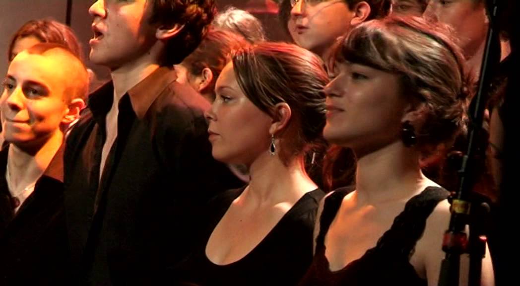 I'm the walrus -The Beatles- cover Irreductibles-